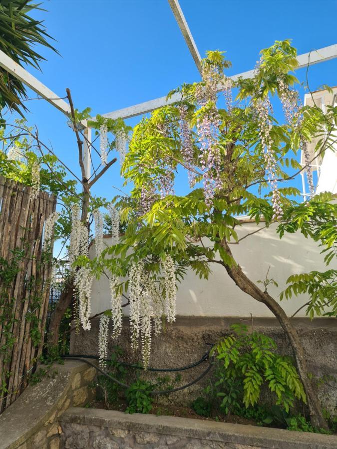 Bed and Breakfast Capri Love Anacapri  Exteriér fotografie